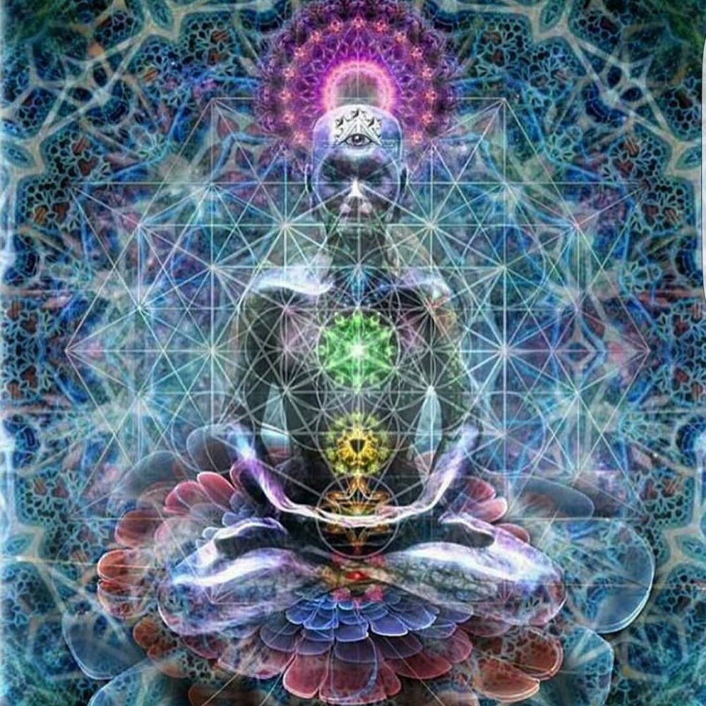 Meet your Posher, Kamiesha